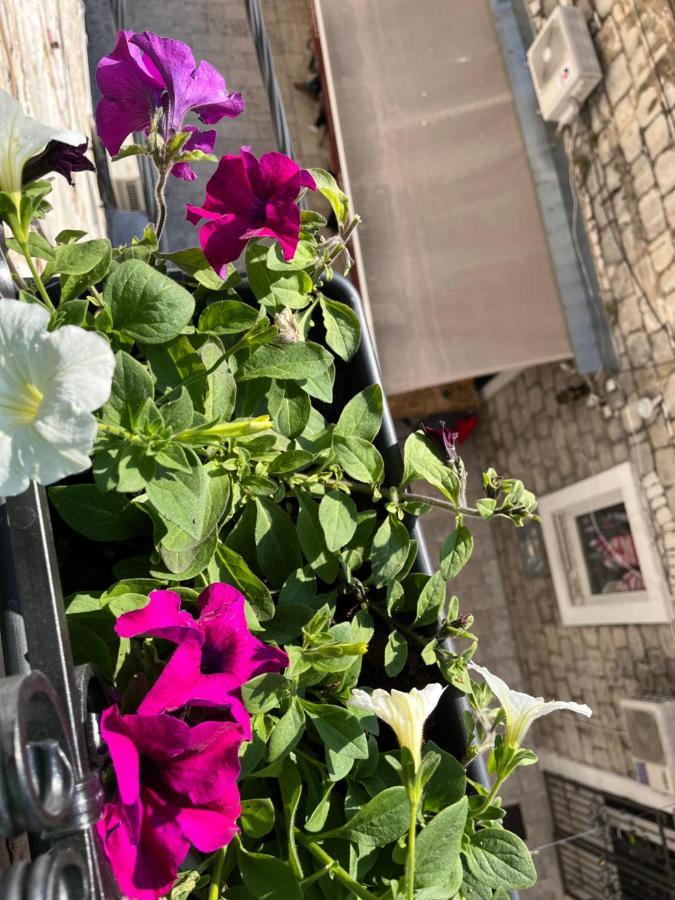 Vale Otel Split Dış mekan fotoğraf